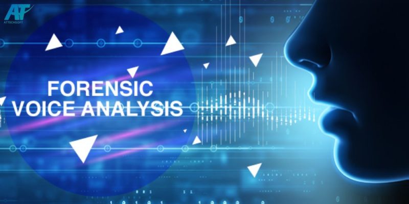 cases-voice-analysis-forensic